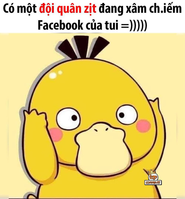 con vịt vàng trên Facebook
