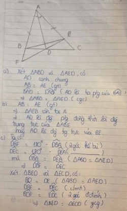 Cho tam giác ABC (AB > AC). Vẽ tia phân giác AD của tam giác ABC. Trên cạnh AC lấy điểm E sao cho AE = AB