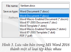 MS Word 2016 cho phép lưu văn bản thành một số loại tệp (type) khác nhau